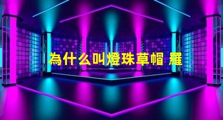 為什么叫燈珠草帽 羅為什么叫草帽當家